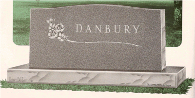 Danbury D862