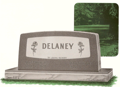 Delaney D833
