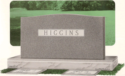 Higgins D864