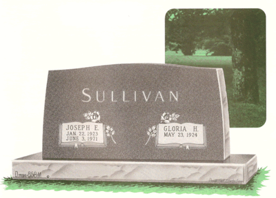 Sullivan D858M 